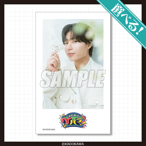 選べる！ミニブロマイド風カード E