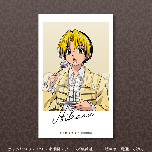 ミニブロマイド 進藤ヒカル マカロンA