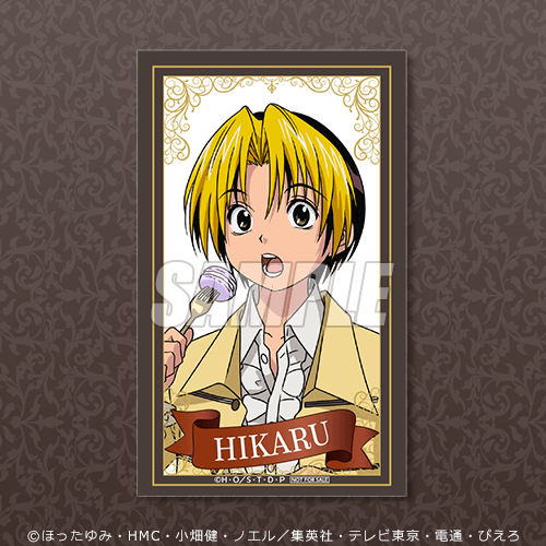 ミニブロマイド 進藤ヒカル マカロンB
