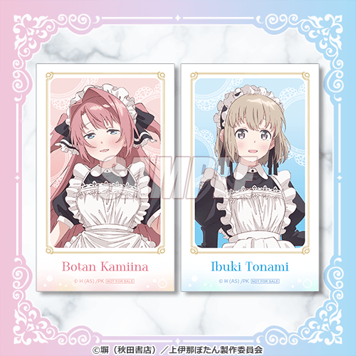 ミニブロマイド
