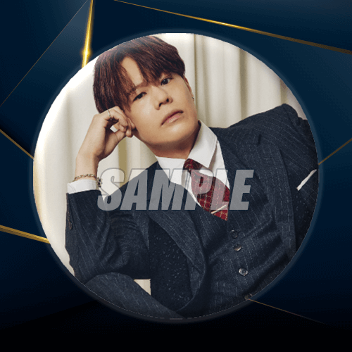 D-14 缶バッジ バージョン N