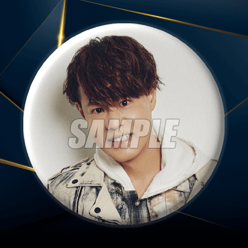 D-2 缶バッジ バージョン B