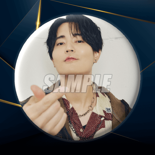 D-6 缶バッジ バージョン F