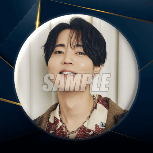 D-8 缶バッジ バージョン H