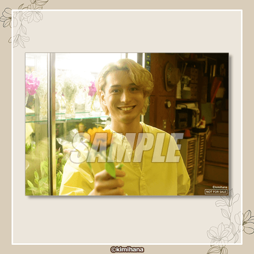 ブロマイド 日向 梗介 B