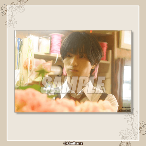 ブロマイド 立花 咲良 B