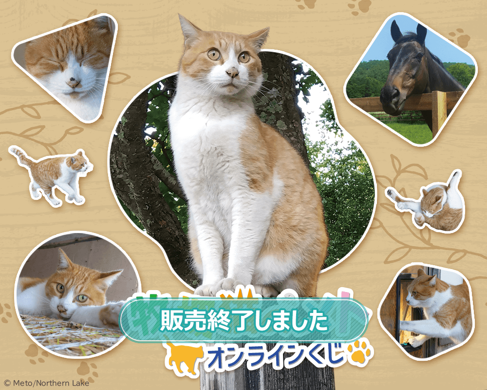 牧場猫のメト オンラインくじ