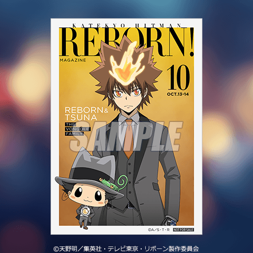 ブロマイド リボーン&沢田綱吉