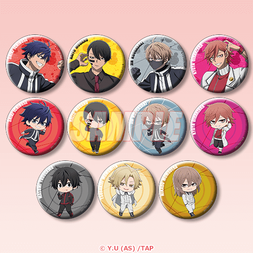 D賞 缶バッジ11種セット