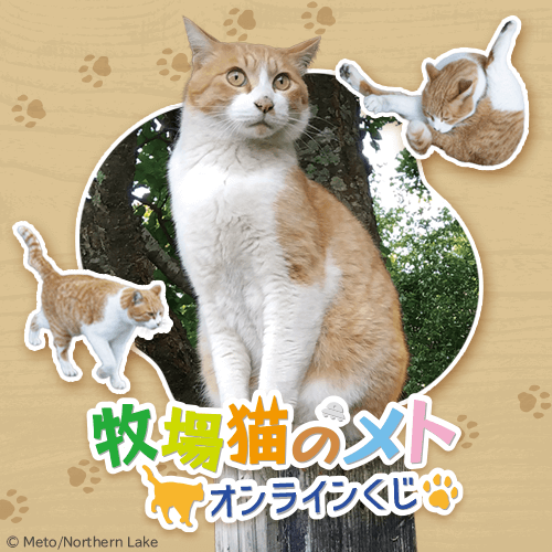 牧場猫のメト オンラインくじ