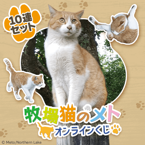 牧場猫のメト オンラインくじ【10連セット+おまけ】