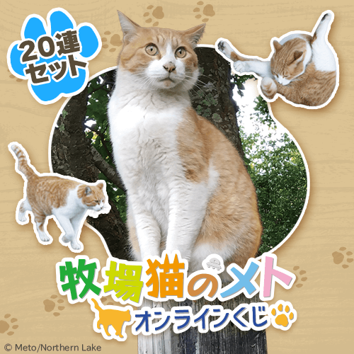 牧場猫のメト オンラインくじ【20連セット+おまけ】